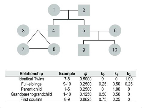 sex between sister and brother|Prohibited degree of kinship